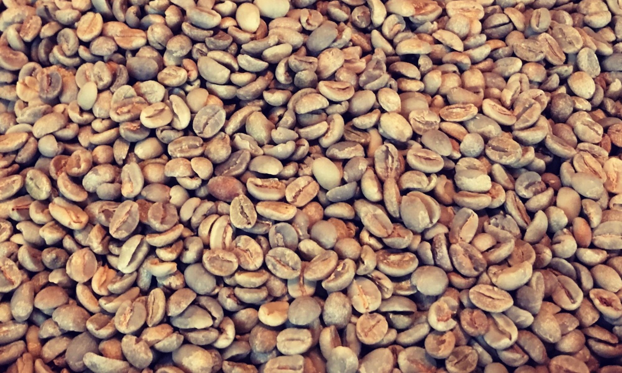 珈琲豆焙煎 Kaffa コーヒー中毒者による コーヒー中毒者のための なるべくオーガニックなコーヒー豆屋